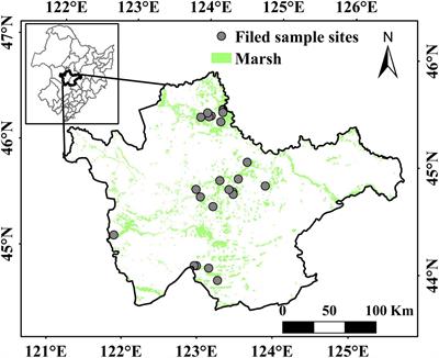 Aboveground Biomass of Wetland Vegetation Under Climate Change in the Western Songnen Plain